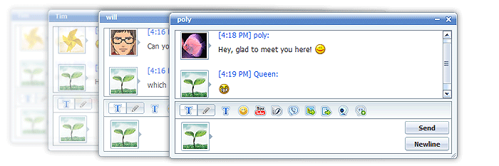 Private Chat Windows of 123 Flash Chat, Flash Chat, Chat Software, Video Chat